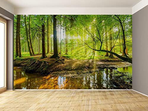 Wall Mural Fall Forest Stream Wallpaper