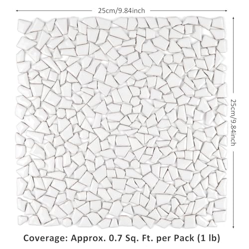454g Irregular Shape White Ceramic Mosaic Tiles for DIY Crafts Bulk