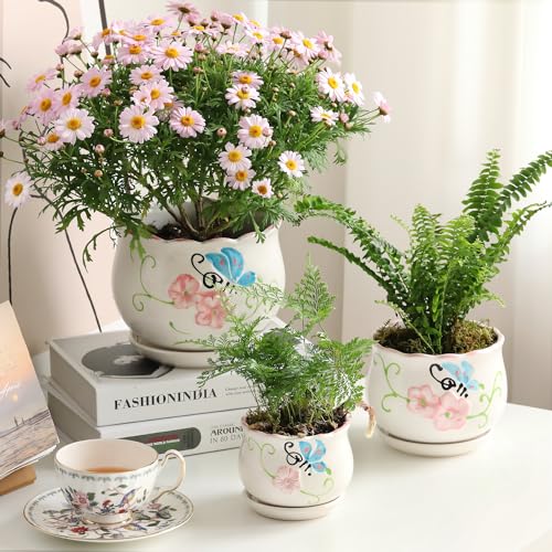 Ceramic Plant Pots with Drainage Holes and Saucers (3 Count)