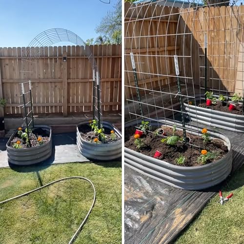 6 Pack 6x3x1FT Galvanized Raised Garden Bed Kit Oval Metal Ground Planter Box Outdoor Bottomless Planter Raised Beds for Vegetables Flowers Herbs Fruits