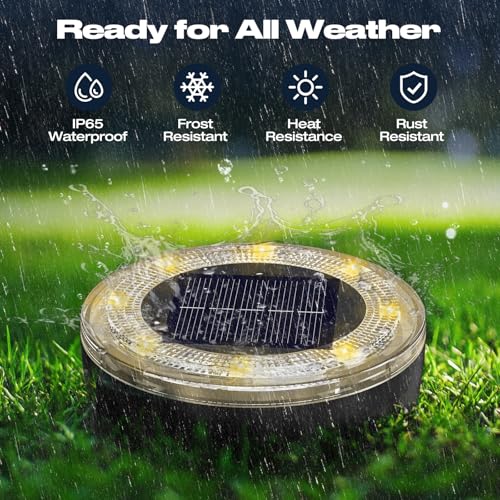 Mini Outdoor Solar Lights (8 Count)