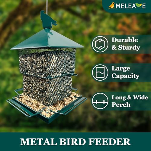 Bird Feeders for Outdoors