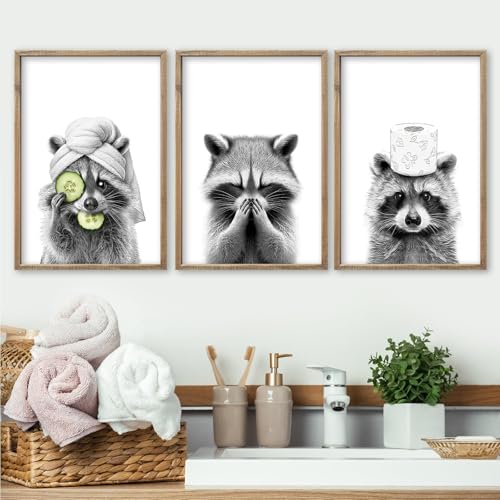 Raccoon Bathroom Wall Decor Art 16x11 Inch Set of 3 Wood