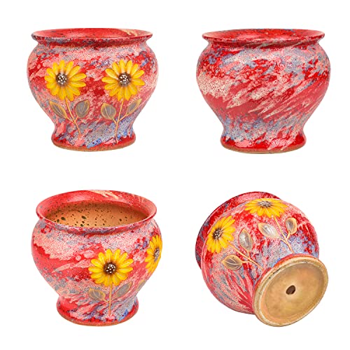 9 Inch Hand Painted Ceramic Succulent Plant Pots
