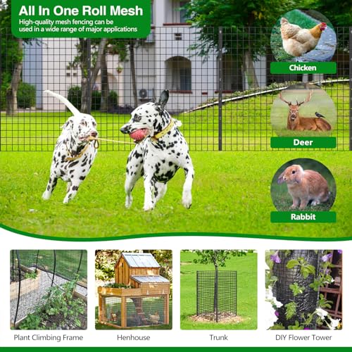 Wire Fence 36 in (150 Sq Ft)