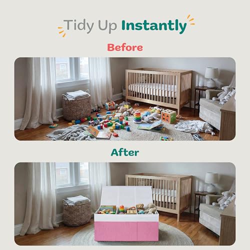 Extra Large Toy Storage Organizer with Lid