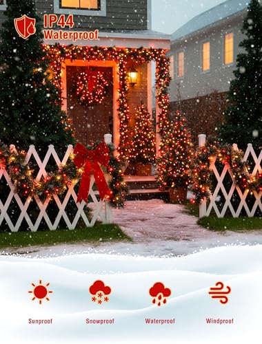 Red Warm White Christmas Lights (50 Count)