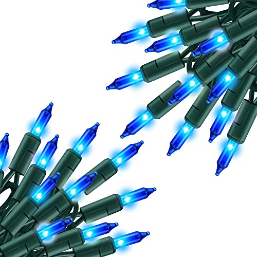 Blue Christmas Lights (20 Foot)