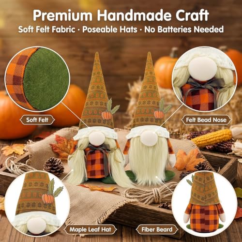 Fall Decorations for Home