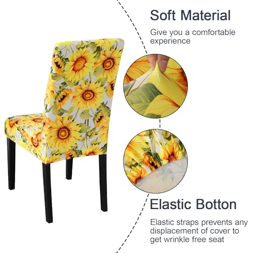 Pattern Chair Covers for Dining Chairs (2 Count)