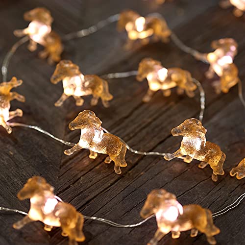 Cute Decorative Lights Fairy String Light Horse Gifts for Women Novelty Pony Lights 20LEDs 8ft USB Plug in or Battery Operated for Bedroom Birthday Room Xmas Thanksgiving Decor (8 Foot)