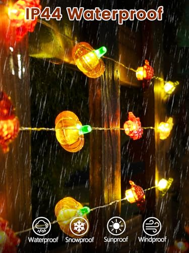 2 Pack 30 LED Fall Decorations