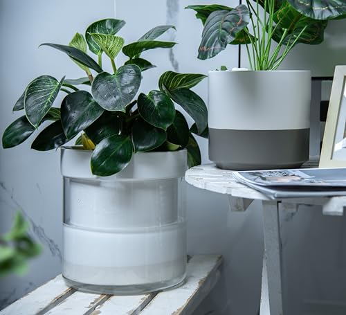10 Inch Self Watering Planter