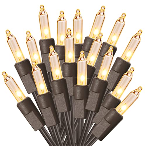 Clear Christmas String Lights (100 Count)