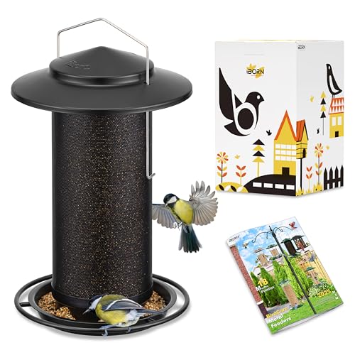 Bird Feeders for Outdoors