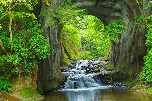 Forest Stream Wall Mural Wallpaper Large Nature Scenery (110.10416666666667 Sq Ft)
