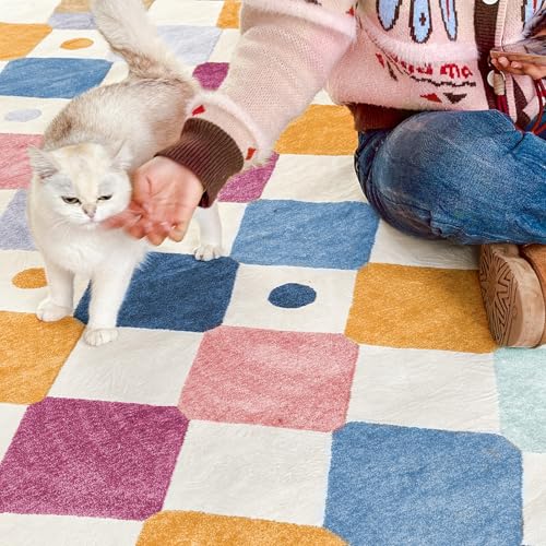 3x5 Washable Playroom Rug Kids Room Nursery Classroom Rug Berries (15 Sq Ft)