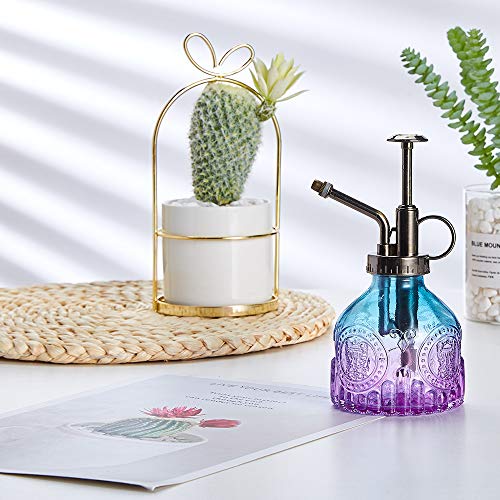 Glass Plant Mister Spray Bottle