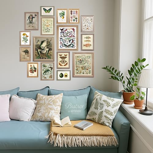 16 Pcs Unframed Vintage Botanical Biology Art (17 Count)