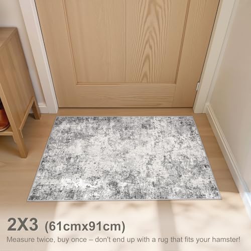 2x3 Entryway Area Rug