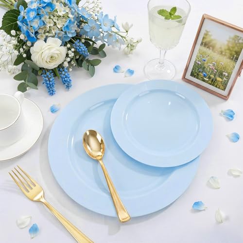 60PCS Light Blue Heavy Duty Plastic Disposable Party Plates Set (60 Count)