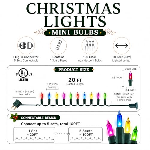 Outdoor Christmas Lights (20 Foot)