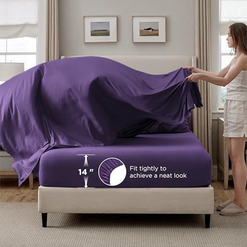 7 Piece King Size Comforter Set & Sheets