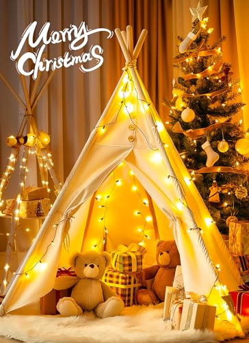 4 Pack Each 50 Count 10 Feet Clear Christmas Mini String Lights (4 Count)