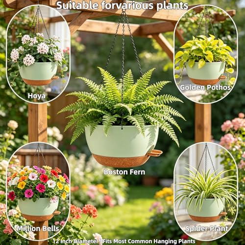 12" Self Watering Hanging Planters with Chains (2 Count)