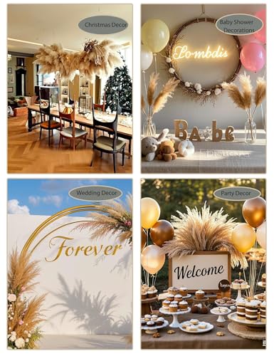 126pcs Dried Pampas Grass Decorations (126 Count)