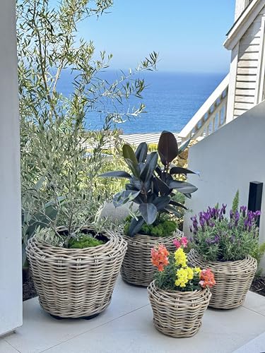 Rattan Planter Basket Plant Pot Holder 1 Gallon X