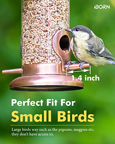 Bird Feeders for Outdoor 9" 2 Port Chew