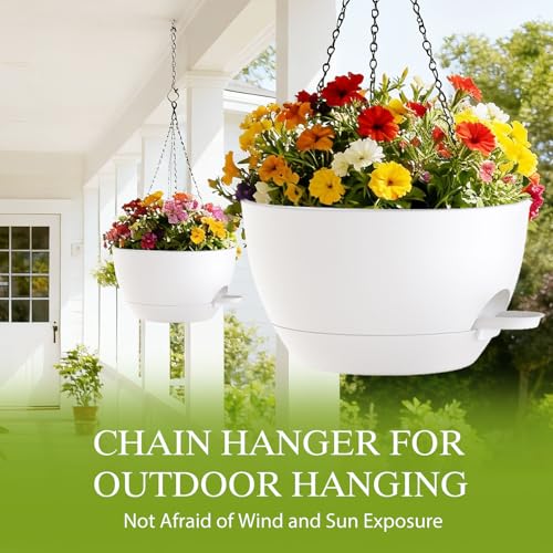 12 Inch Hanging Baskets 2 PC with Chains (2 Count)