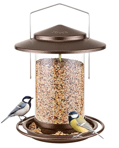 Bird Feeder for Outside Hanging