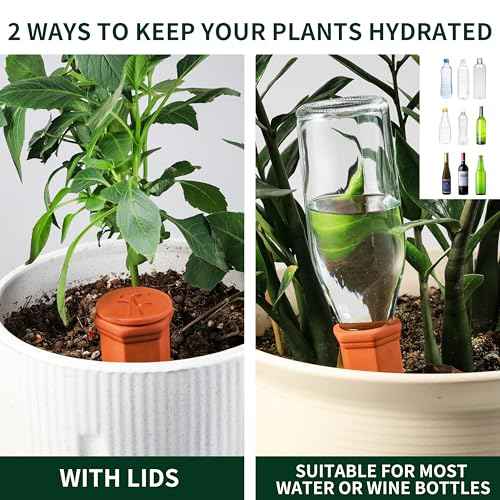 Large Terracotta Watering Spikes with Lids (4 Count)