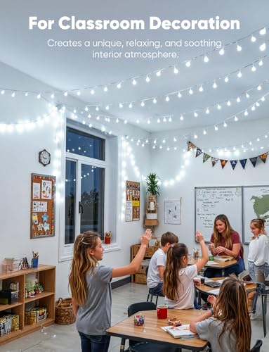 Globe String Lights (33 Foot)