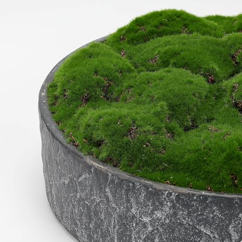 New Moss Bowl