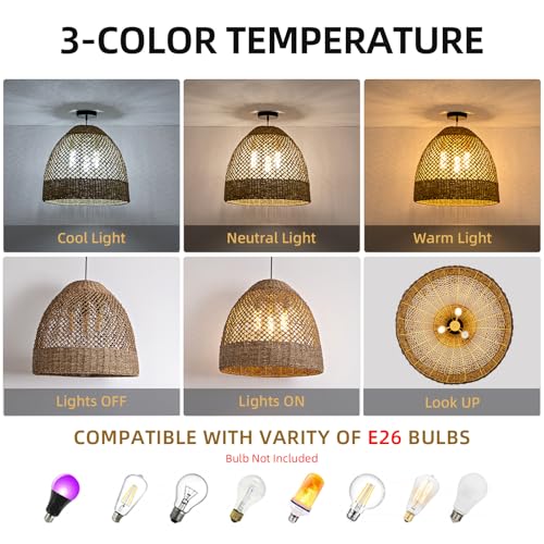 19" Rattan Pendant Light
