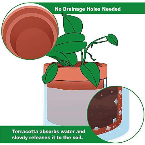 6 Inch Self Watering Planter Pot