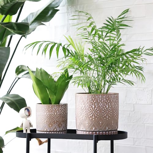 8 Inch + 6 Inch Plant Pot with Drainage Holes and Saucers (2 Count)