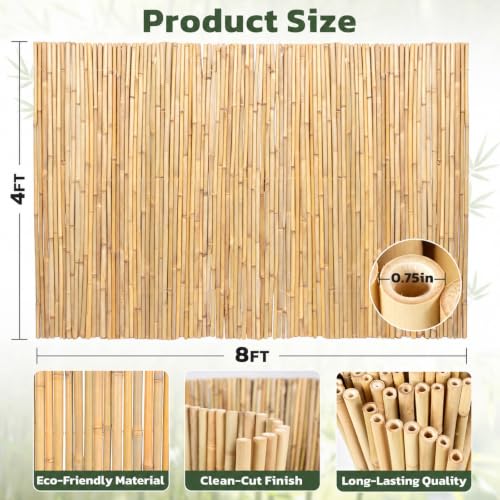 Natural Rolled Bamboo Privacy Fence (32 Sq Ft)