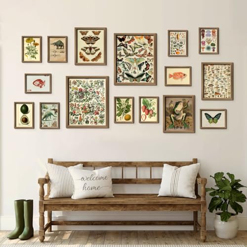 16 PCS Framed Vintage Wall Art Decor (16 Count)
