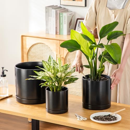 Ceramic Planters (3 Count)