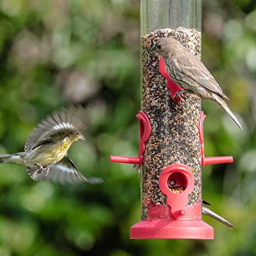 2 Pack Tube Bird Feeders for Outdoors Hanging