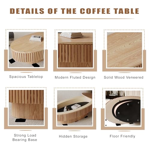 Oval Coffee Table with Storage Modern Coffee Table with Solid Wood Veneered