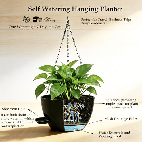 12 Inch Self Watering Hanging Planters (2 Count)
