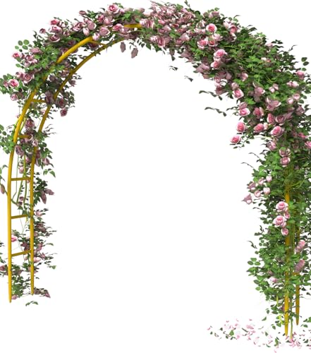 Metal Arch Backdrop Stand 7Ft Wide 7.7Ft High