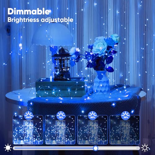 1 Pack 65.6 Ft. Battery Operated Outdoor String Lights with Remote & Timer