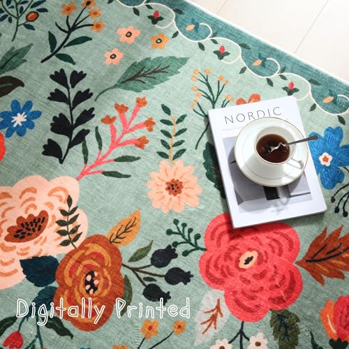 Area Rug 3x5 Washable