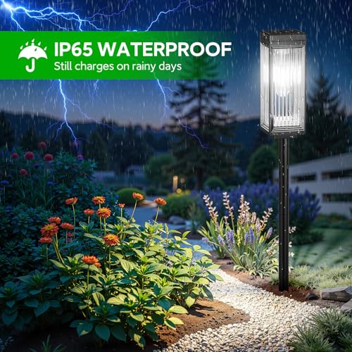Solar Pathway Lights Outdoor (6 Count)